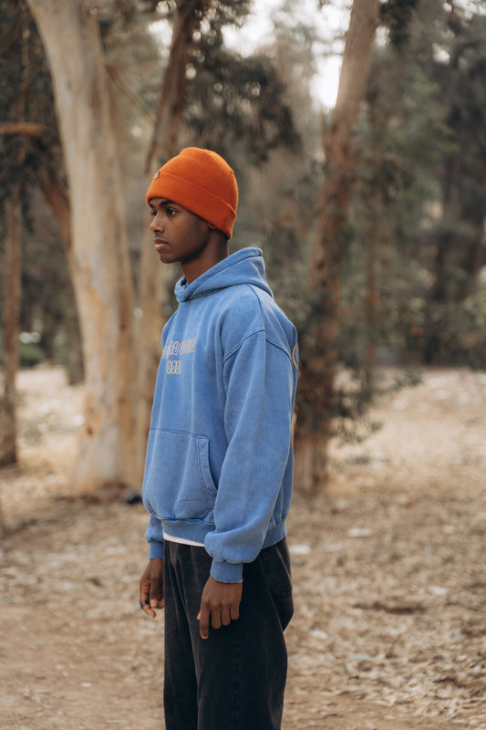 WASHED HOODIE — FROM DUSK TILL DAWN (Blue)