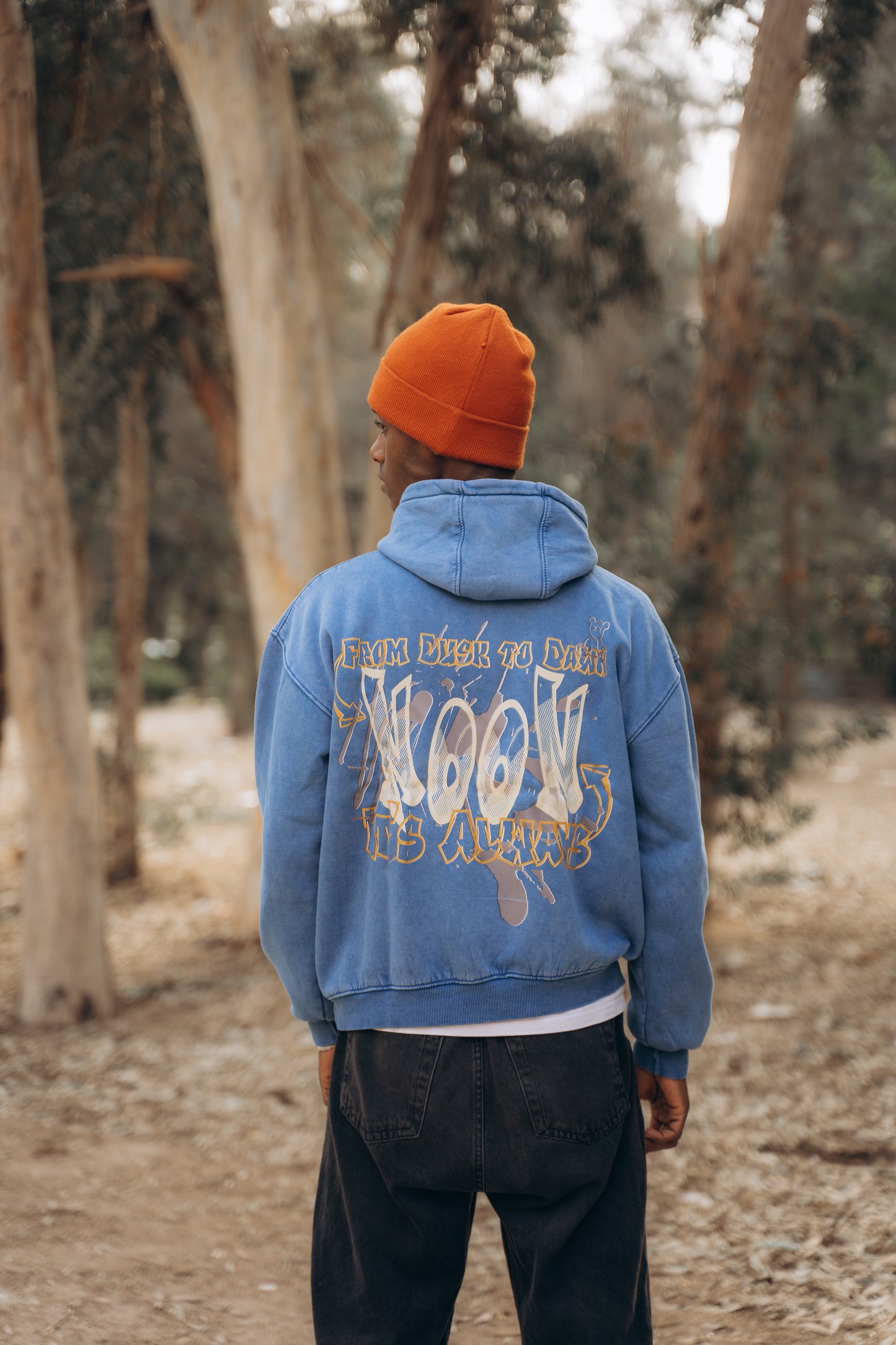 WASHED HOODIE — FROM DUSK TILL DAWN (Blue)