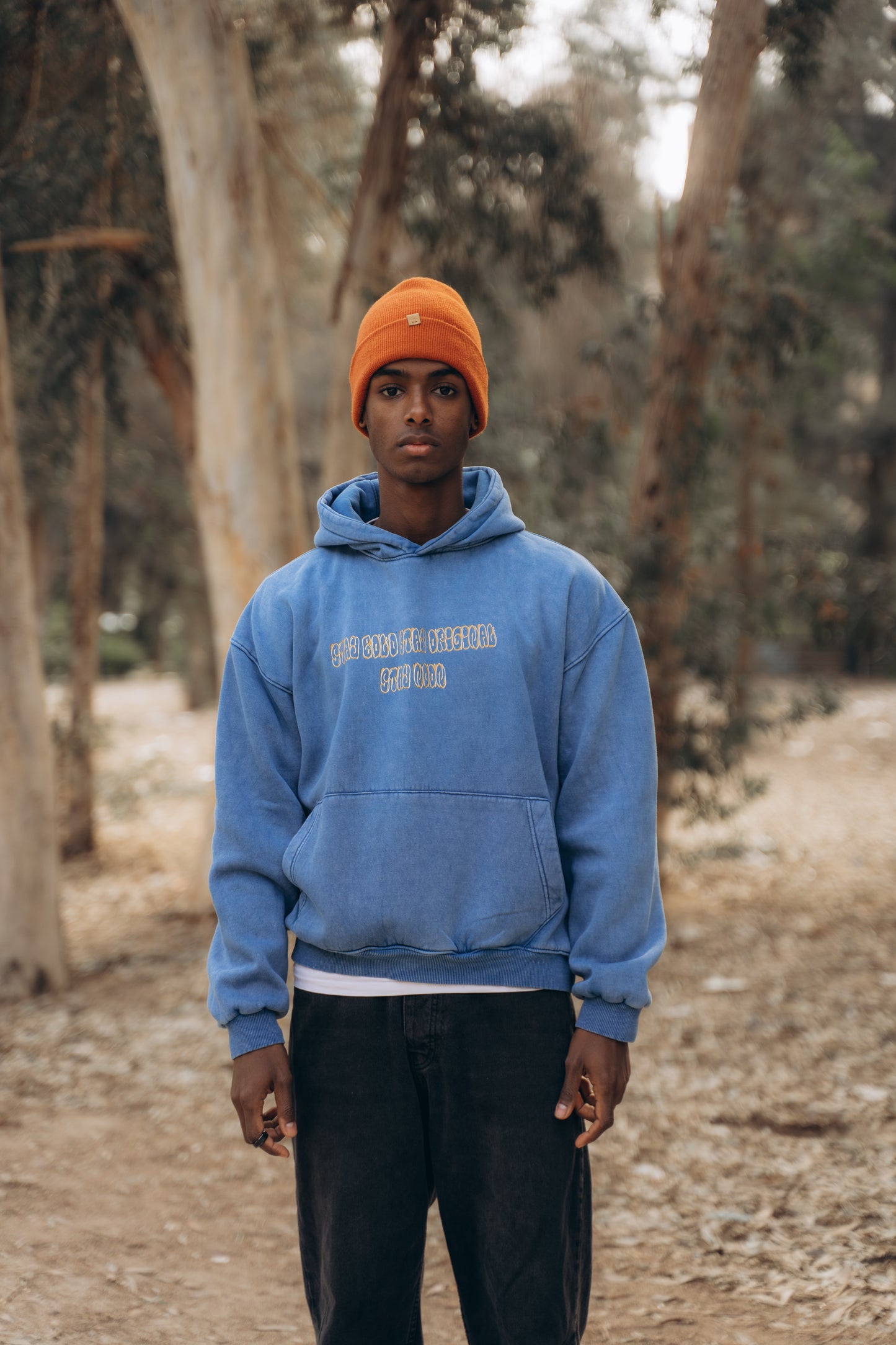 WASHED HOODIE — FROM DUSK TILL DAWN (Blue)